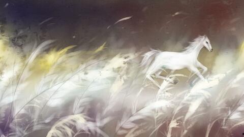 白马入芦花,探寻古代诗意画卷中的浪漫传说