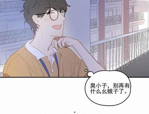 换专业后高冷学长求带飞,换专业后的逆袭传奇