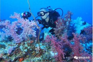 海狼之岛,神秘海域的探险传奇